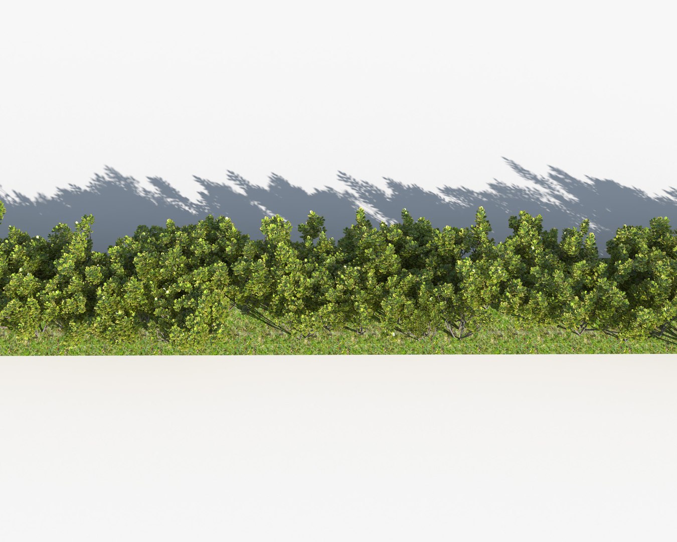3d Bushes Multiscatter Scatterable Model
