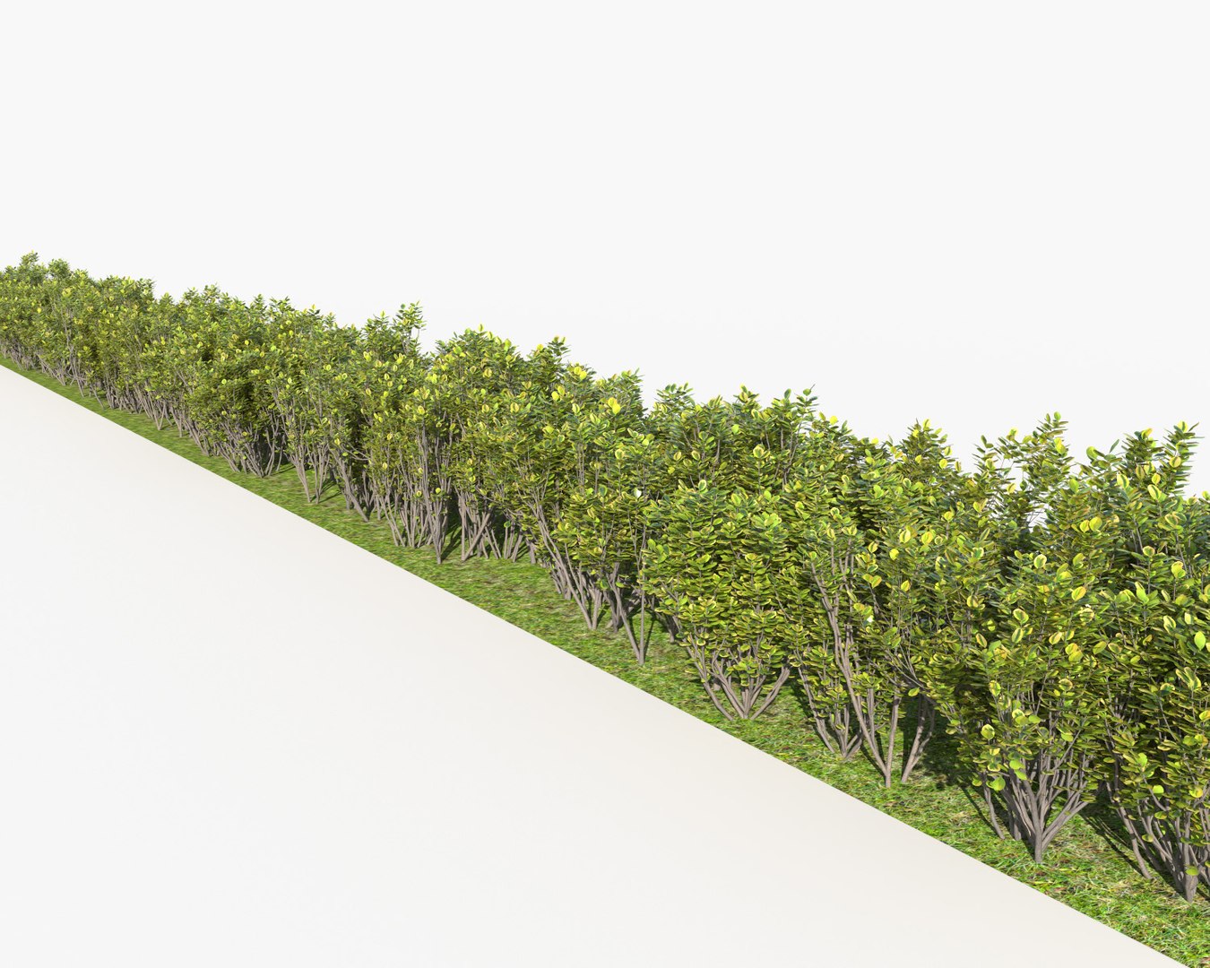 3d Bushes Multiscatter Scatterable Model