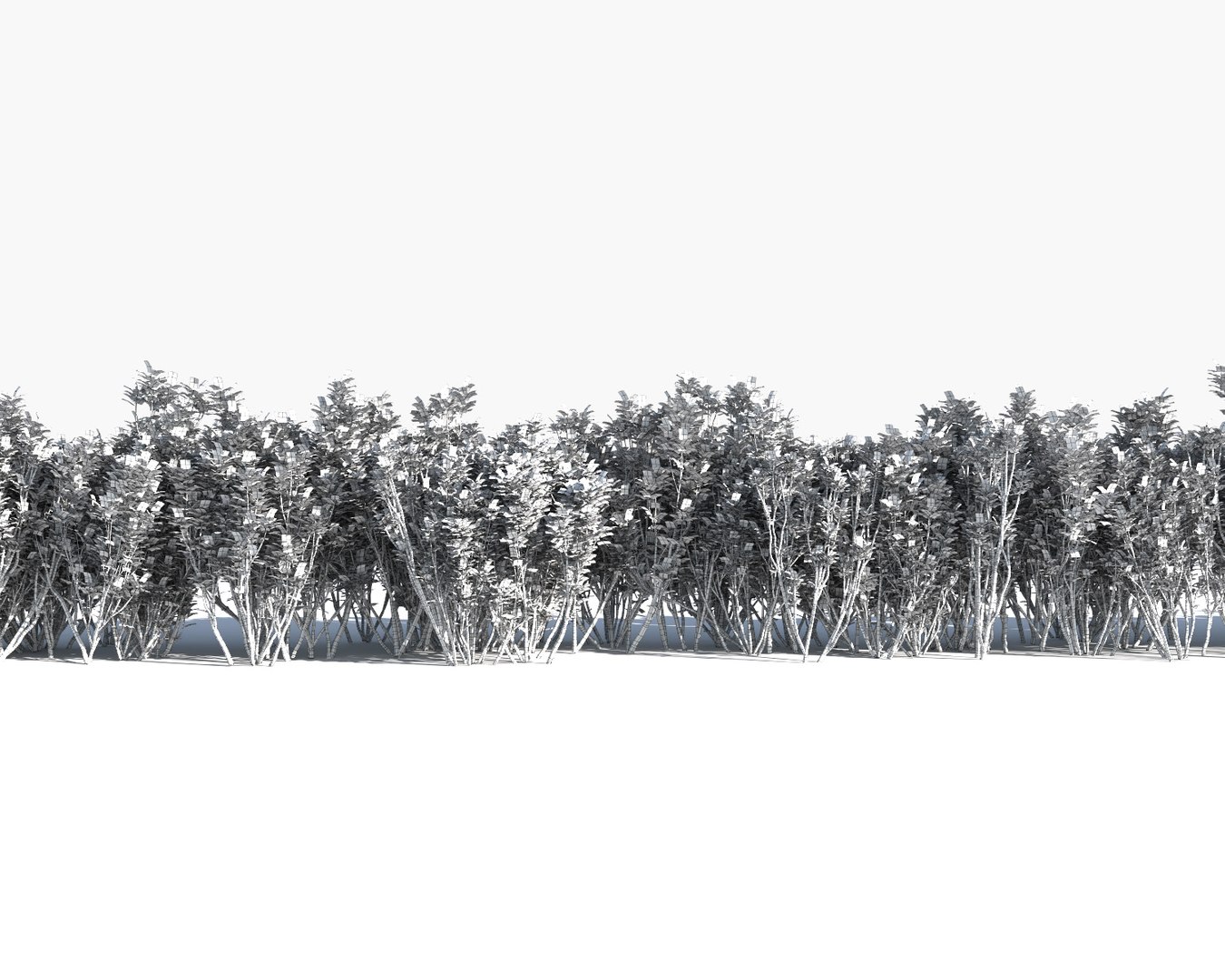 3d Bushes Multiscatter Scatterable Model