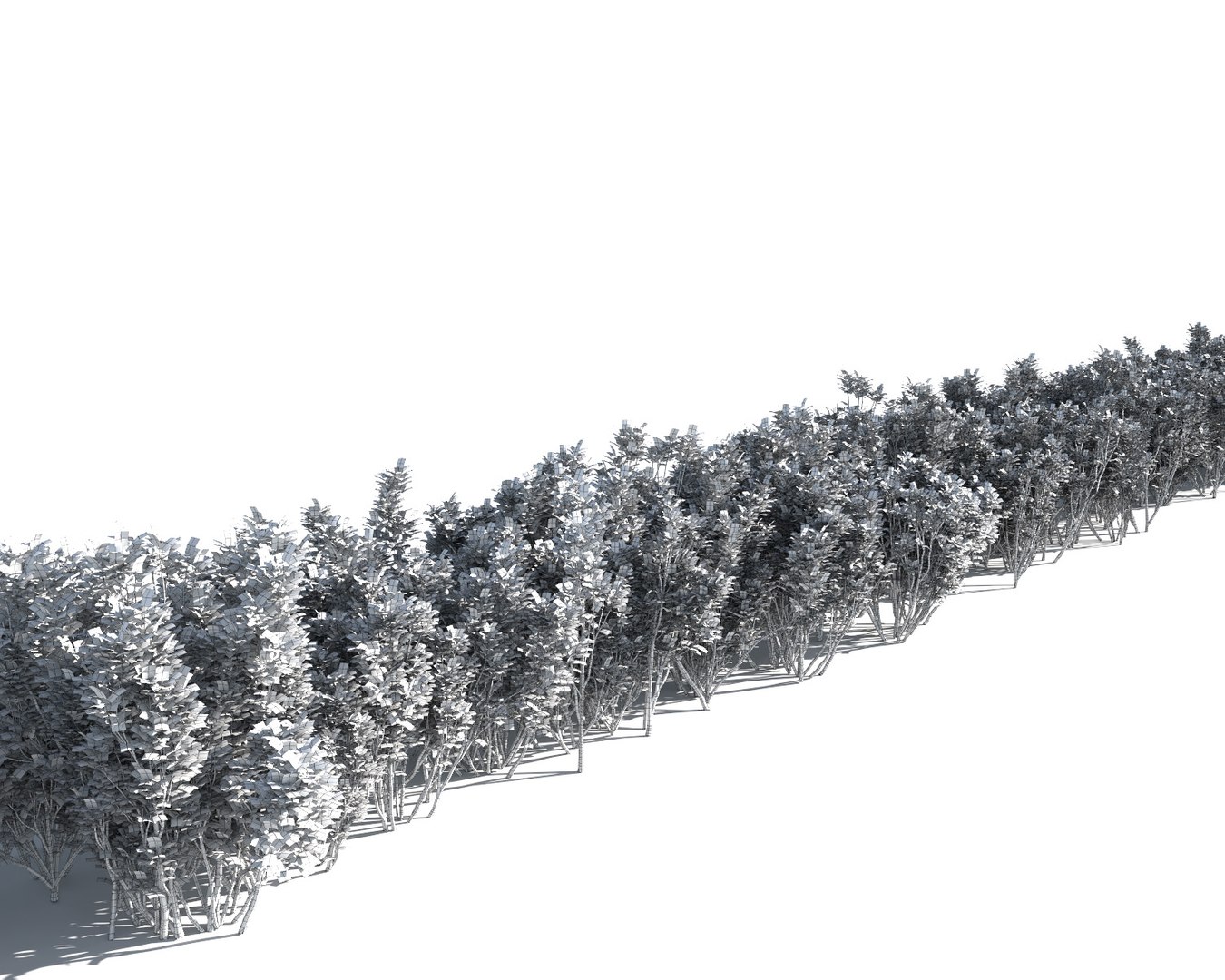 3d Bushes Multiscatter Scatterable Model