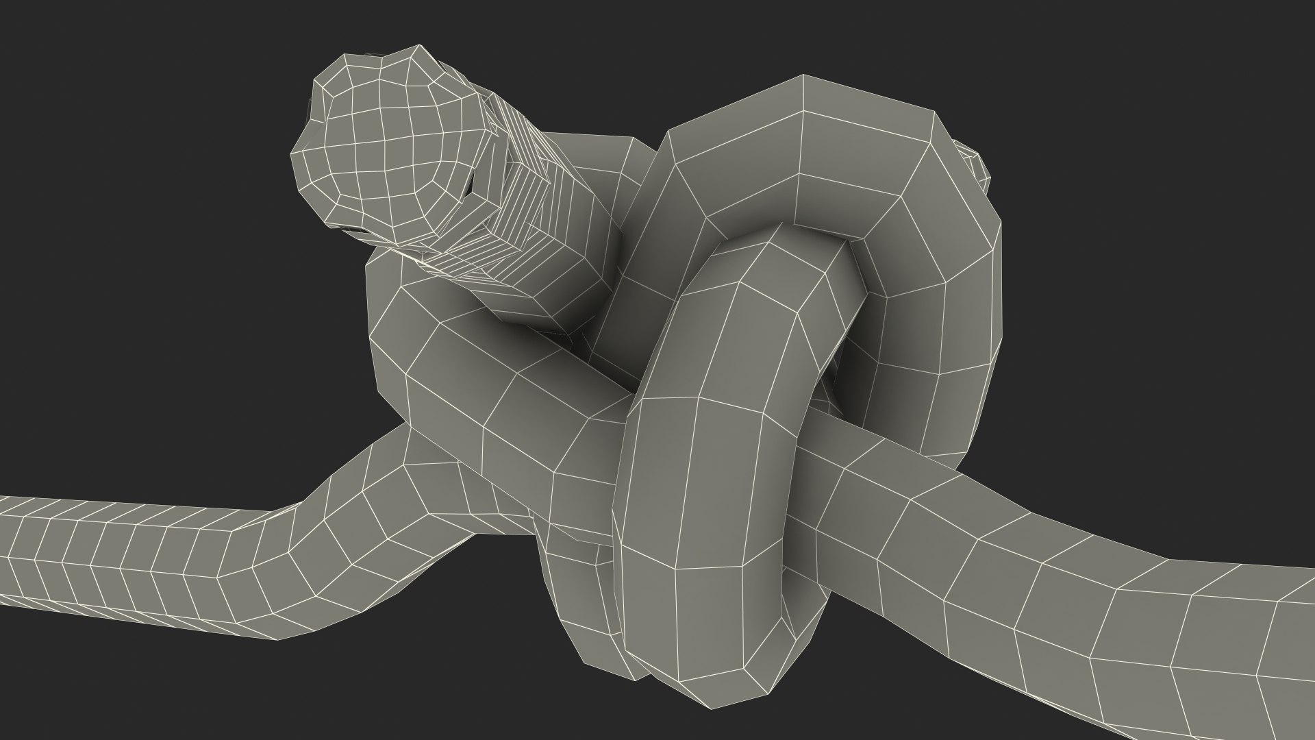 carrick bend knot 3D model https://p.turbosquid.com/ts-thumb/ue/cvvTOJ/16jGVdu1/carrickbendknotmb3dmodel023/jpg/1605249016/1920x1080/fit_q87/87d6db909f0bb7feac26b9f158661c3444780496/carrickbendknotmb3dmodel023.jpg