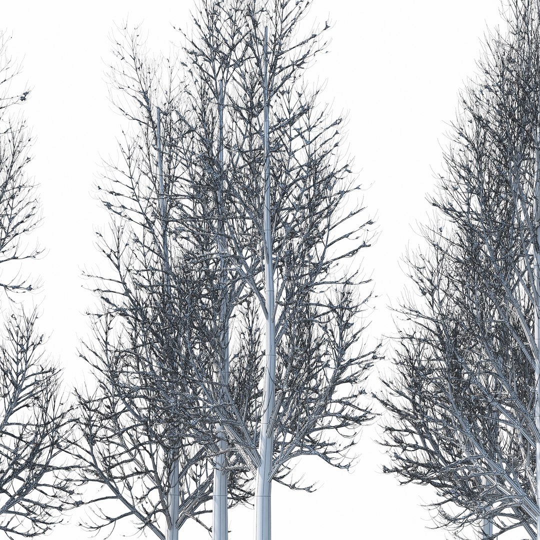 Winter Tree 018 3d Model - Turbosquid 1230435