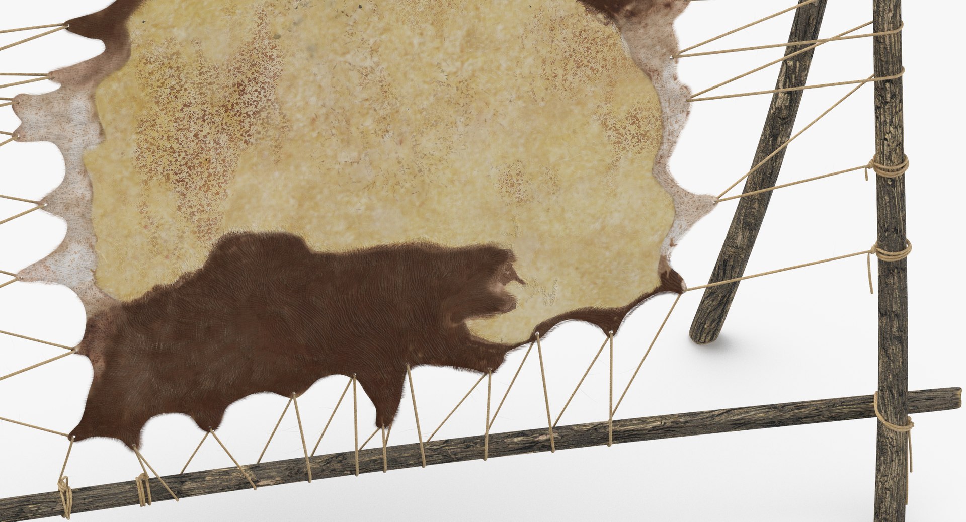 3d Leather Tanning Rack