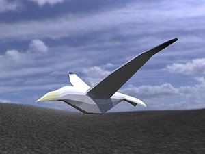 3ds max bird animateds