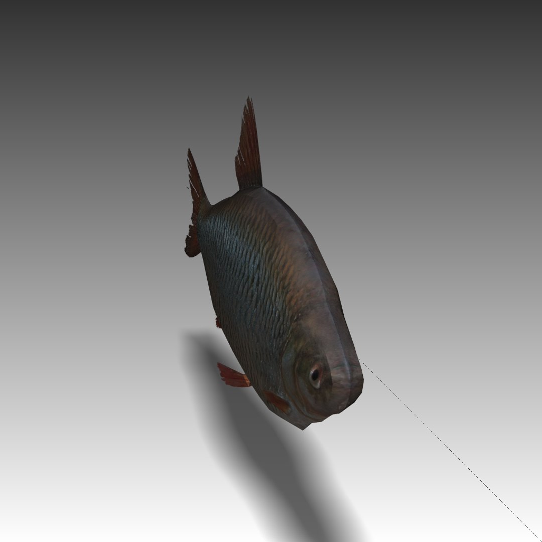 3d Model Pack Fishes