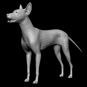 dog base mesh animal model