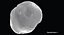 Metal Asteroid