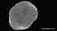 Metal Asteroid