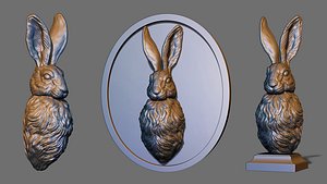 Wild Hare Bust 3D