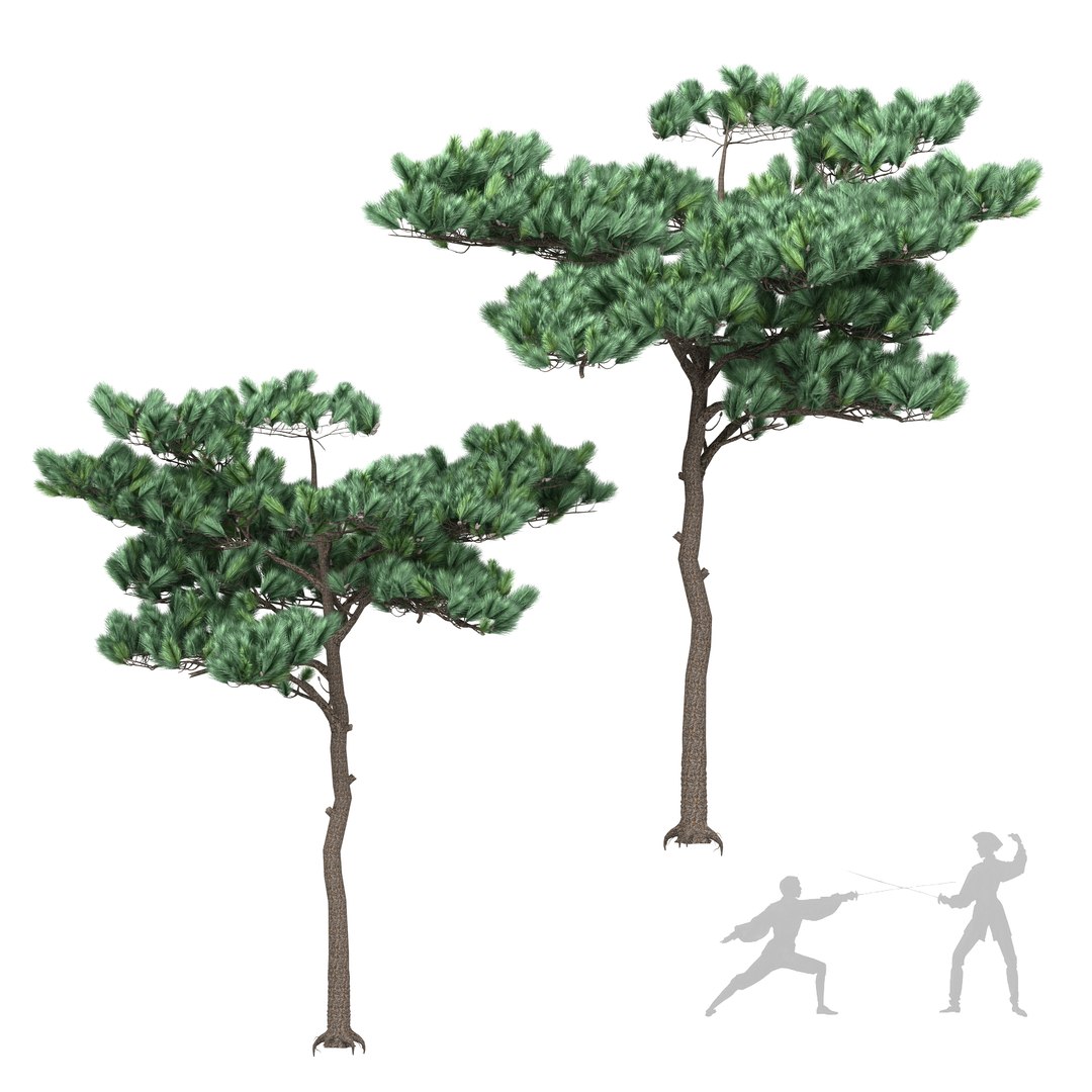 pine 4 3D model https://p.turbosquid.com/ts-thumb/uf/HUh6oh/v6SE2Ku5/pine42/jpg/1605537209/1920x1080/fit_q87/e3344a052c4f3a3e86505e95649068a4d4205f16/pine42.jpg