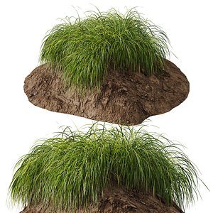 HQ Plants Carex Elata Aurea Grass Version3 3D