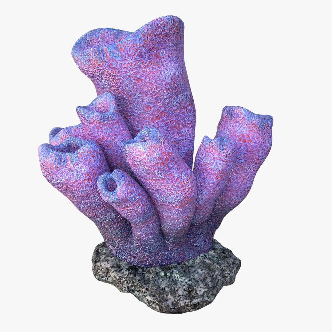 Коралл. Coral 3d model. Tube Coral.