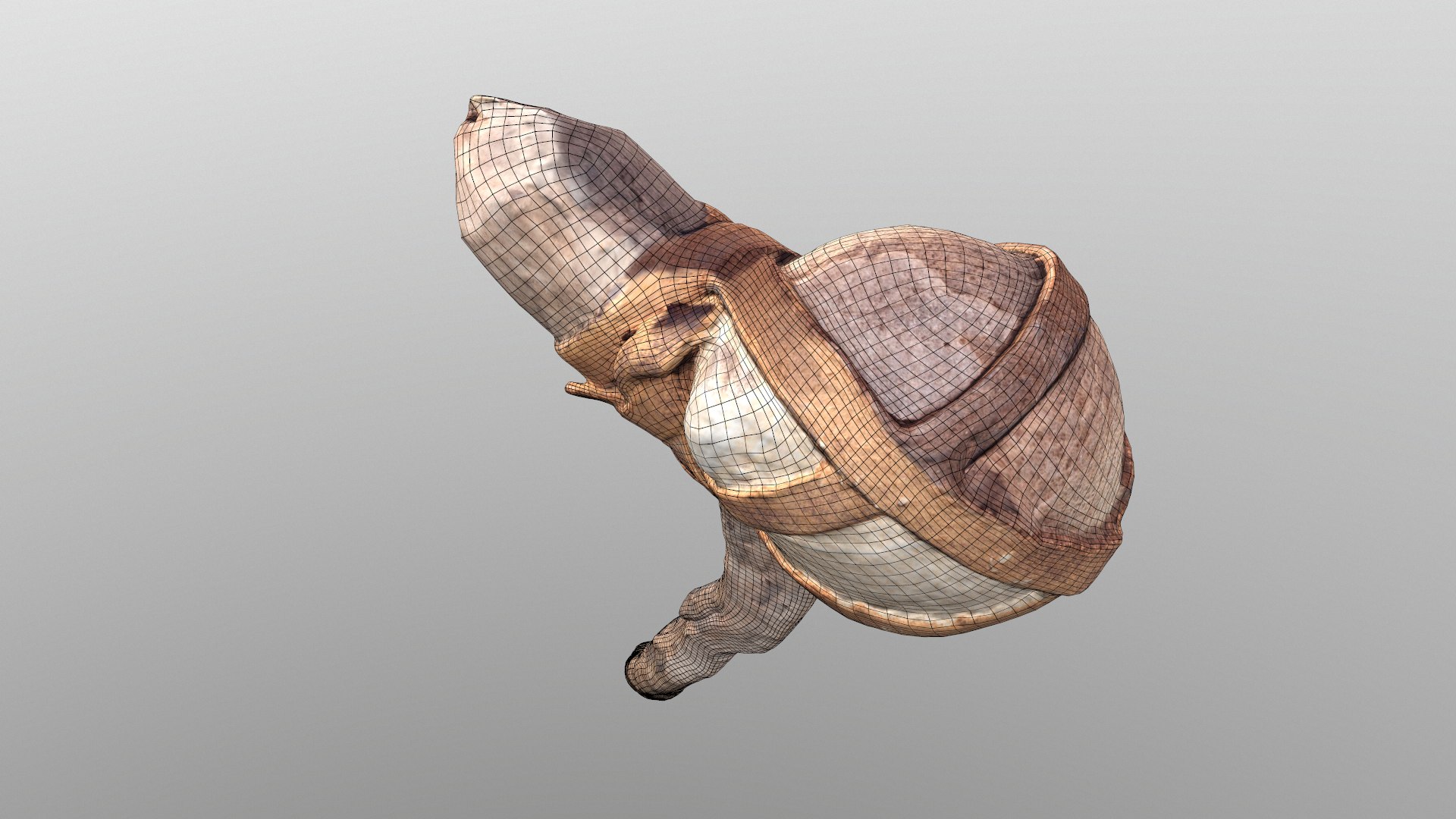3D realistic primitive https://p.turbosquid.com/ts-thumb/ug/1YI8XG/mty6dkCc/screenshot012/png/1594493369/1920x1080/fit_q87/8eb8b637f7ed5238208e5649ef6174fe131a1871/screenshot012.jpg