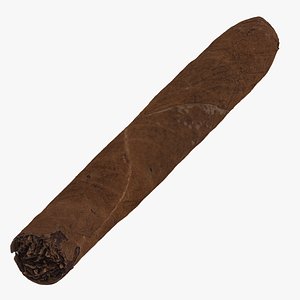 3D Cigar Short 01 RAW Scan model
