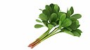 Purslane Bunch