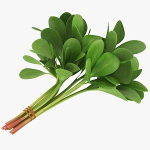 3D Purslane Bunch model