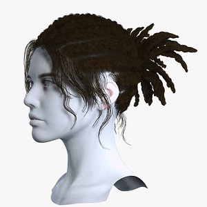 Textured Braids and Locs Ponytail Asset - Game Ready Hair Cards model