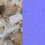 PBRPX Gravel Garbage Heap 02