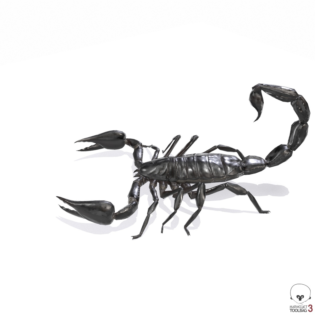 Black Scorpion 3D Model - TurboSquid 1379146