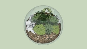 Terrarium 3D model