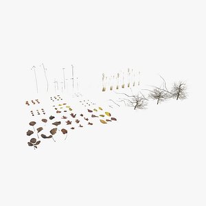 3D model Dry Plants Pack