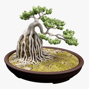 Bonsai Neagari 001 3D model