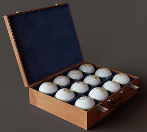 White Cricket Ball Box Collection 3D