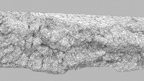 modelo 3d Tronco de leña quemada 03 - TurboSquid 1984391