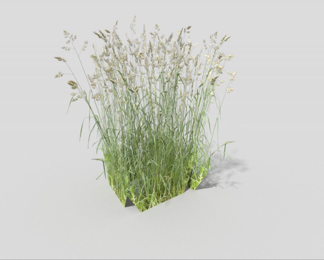 Meadow Grass 3d 3ds