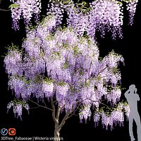Jess Glynne - Wisteria 04
