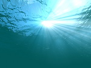 Under the Sea