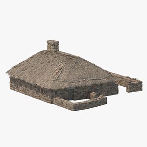 Iron Age House 03