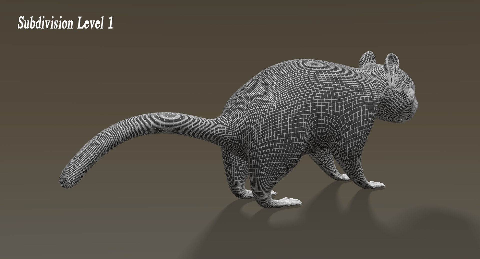 Squirrel Fur Rigged 3D Model - TurboSquid 1150239