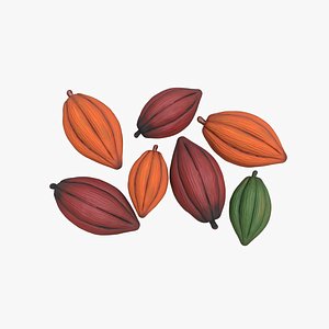 Cocoa Beans Fruits Set