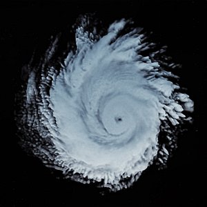 storm 3D model
