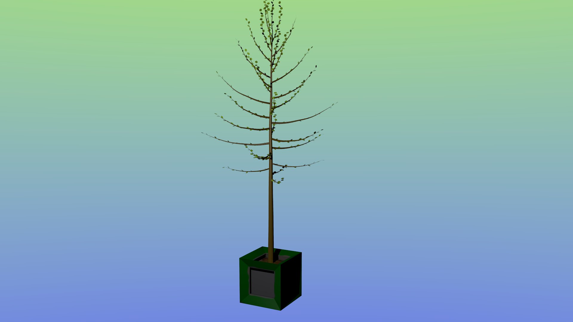 Pot Tree 3D Model - TurboSquid 1260443