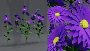Flowers Plant