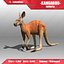 3d kangaroo animations model