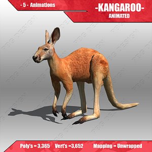 Kangaroo Animated