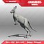 3d kangaroo animations model