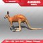 3d kangaroo animations model