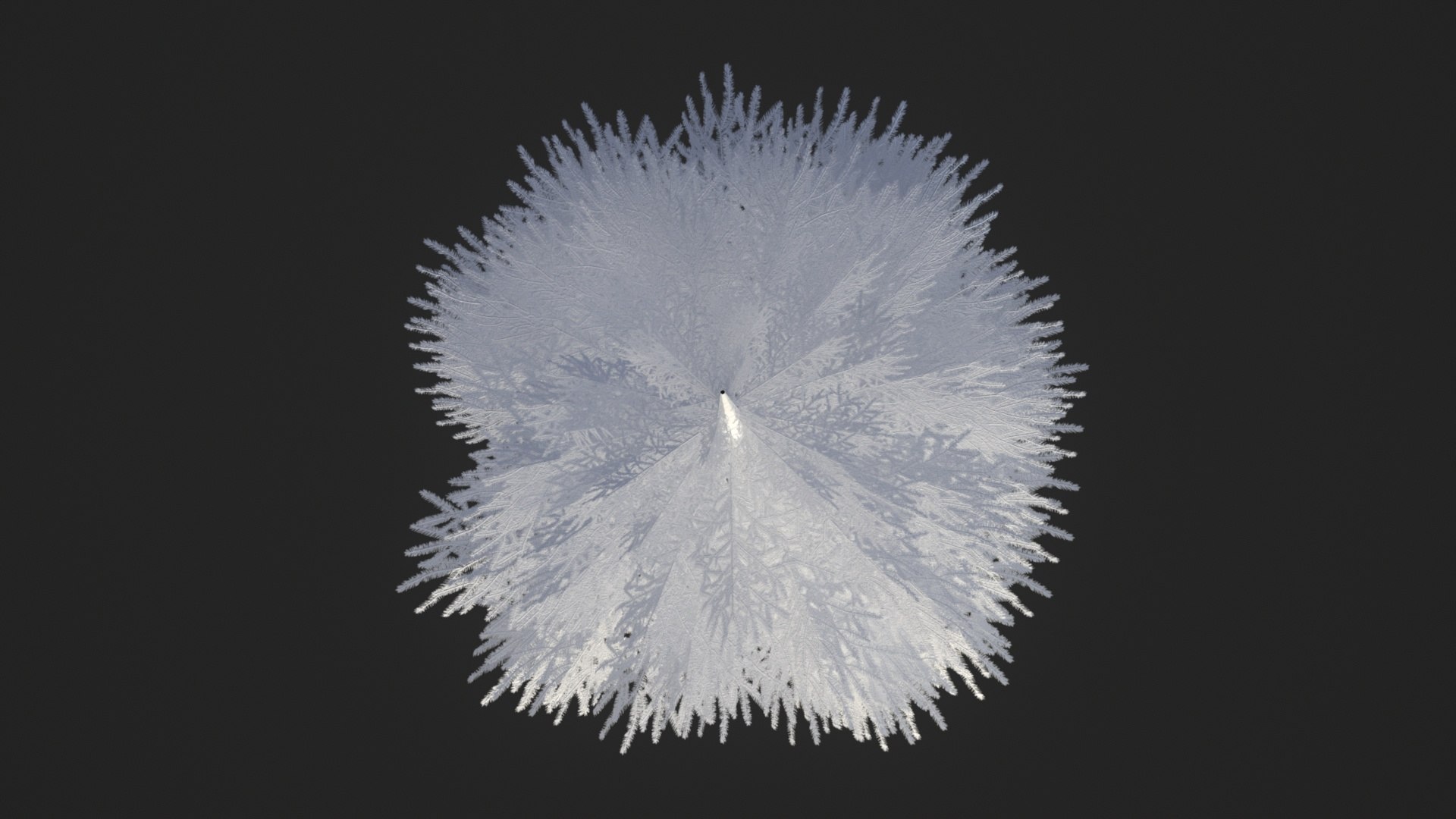 Norway spruce tree conifer low poly model https://p.turbosquid.com/ts-thumb/ui/fgA1S9/66/x6/jpg/1732305640/1920x1080/fit_q87/6fb0b96cc0176727a5844960619a63f3cbb42e73/x6.jpg