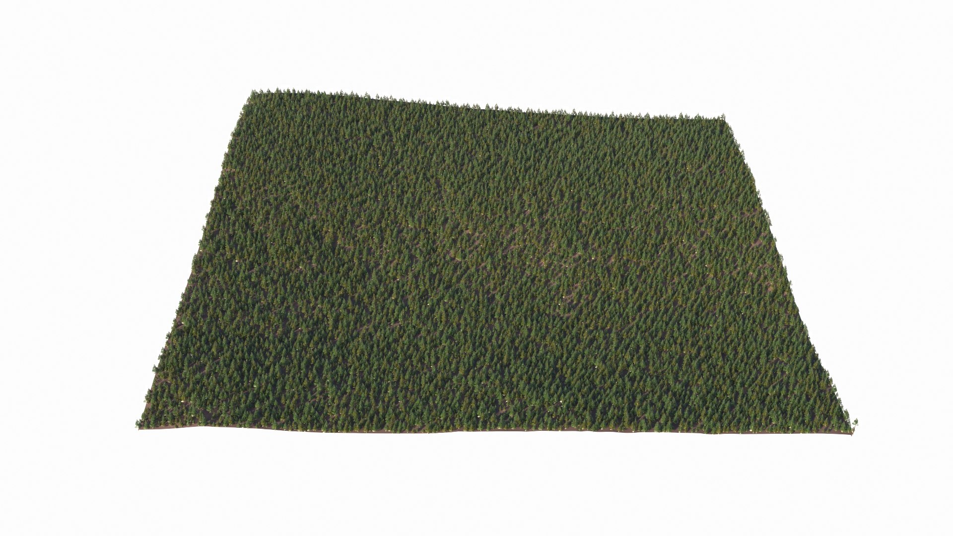Norway spruce tree conifer low poly model https://p.turbosquid.com/ts-thumb/ui/fgA1S9/IA/v12/jpg/1732305643/1920x1080/fit_q87/70d4d4f80cc5a43cc21e0d654f25ce206220f2b1/v12.jpg