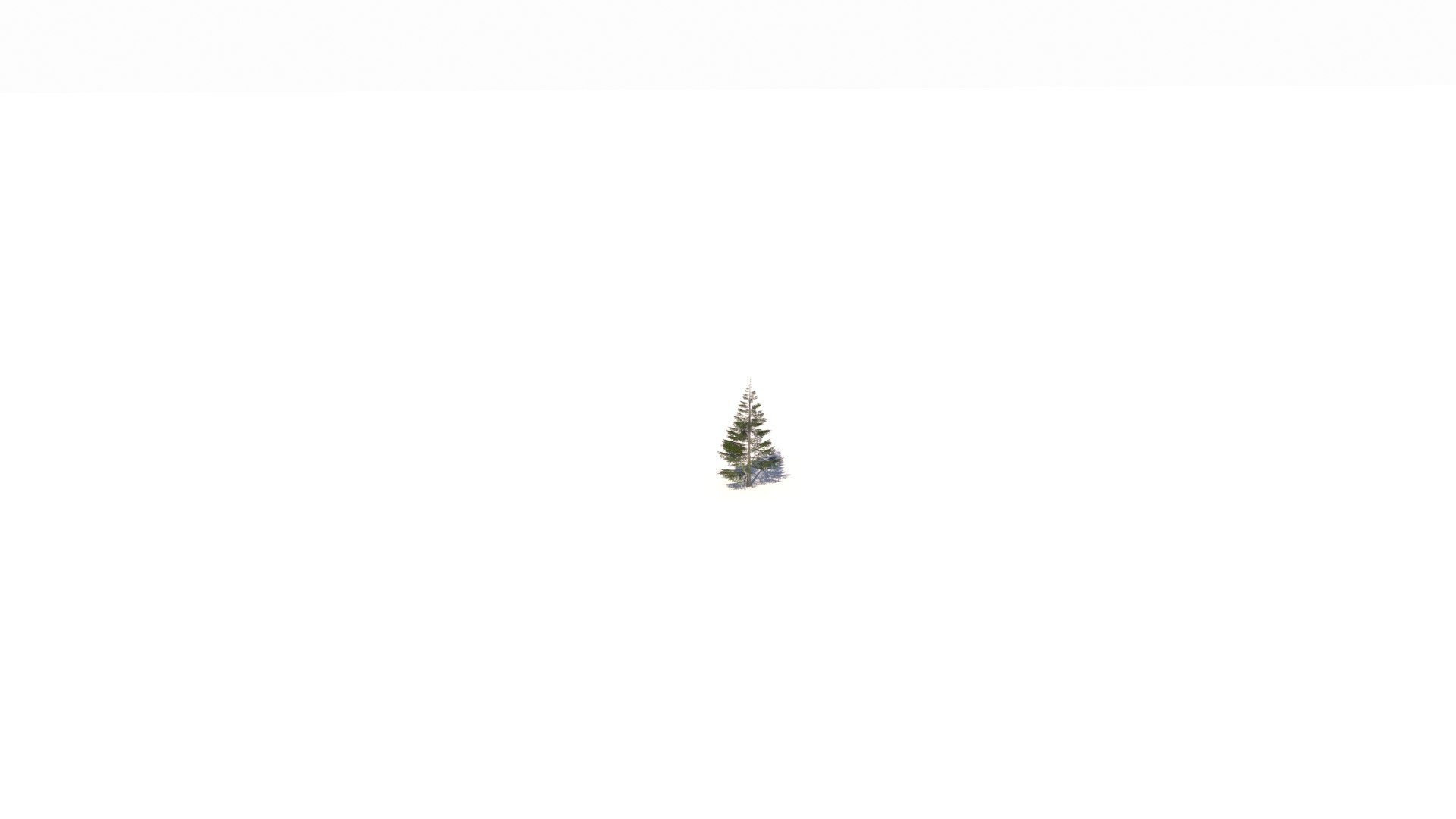Norway spruce tree conifer low poly model https://p.turbosquid.com/ts-thumb/ui/fgA1S9/su/v9/jpg/1732305564/1920x1080/fit_q87/dcc92298e0ab32e7d148cd7b2b80f3195cdc0df4/v9.jpg