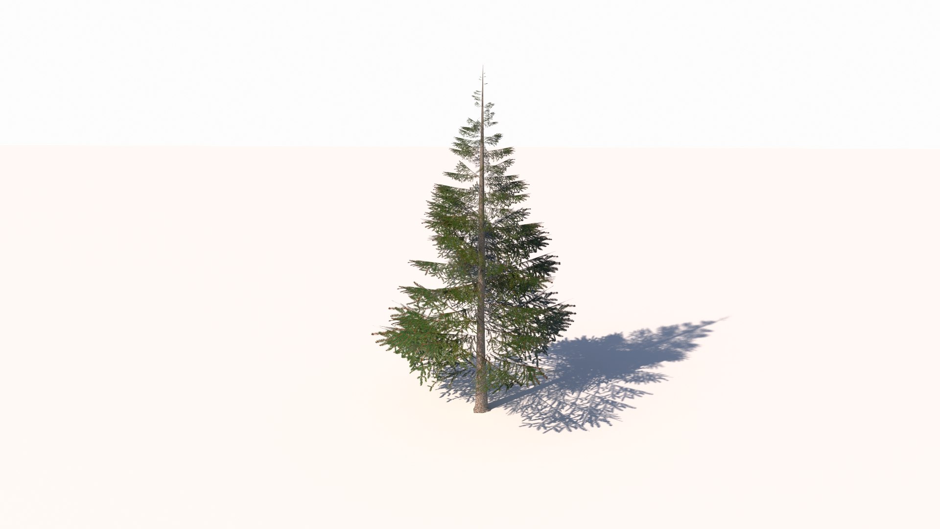 Norway spruce tree conifer low poly model https://p.turbosquid.com/ts-thumb/ui/fgA1S9/wH/v1/jpg/1732305523/1920x1080/fit_q87/ada0c611ae2af6ec13a815a83a4d6fa7fef92148/v1.jpg