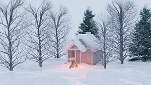 Snow island