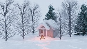 Snow island