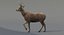 deer rigged fur 3d model