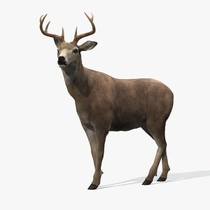 deer rigged fur 3d model