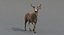 deer rigged fur 3d model